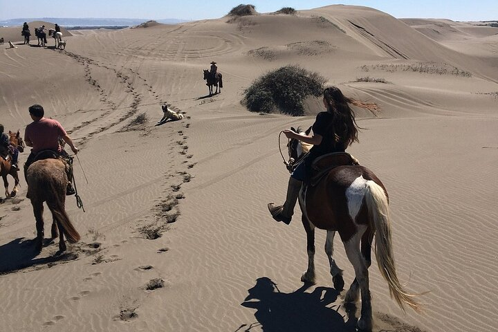 Private Valparaiso, Horse Riding Sea Sand Dunes & BBQ  - Photo 1 of 11