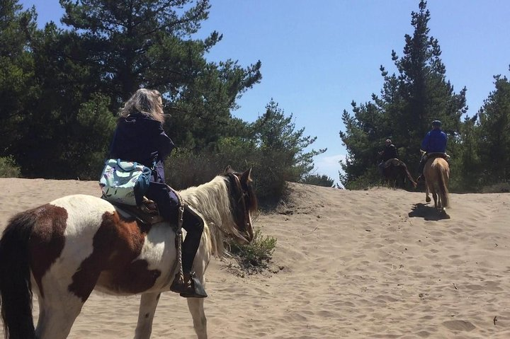 Horse Ride & BBQ in Ritoque Beach&Dunes FROM VALPO. Private Tour - Photo 1 of 15