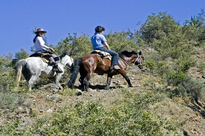 Horse-Riding to El Morado Hanging Glacier from Santiago - Photo 1 of 6