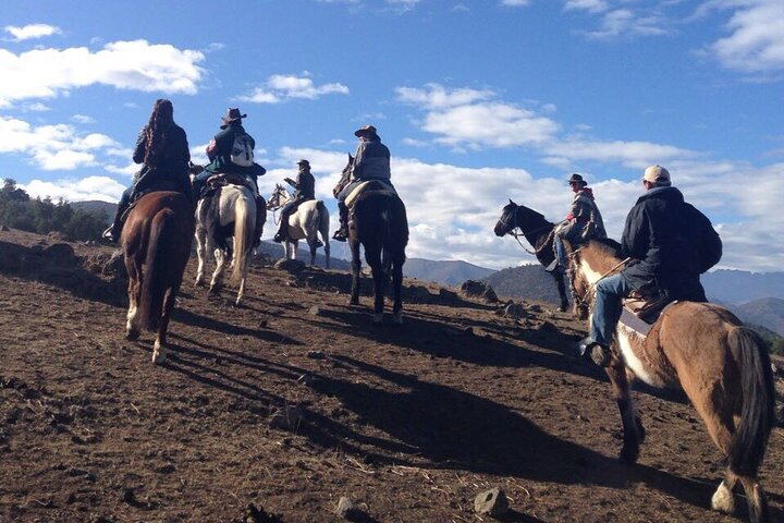  Private Horse Riding with Cheese and Wine in the Andes - Photo 1 of 7