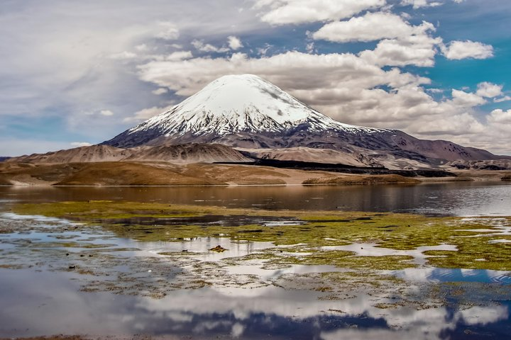 Chungará Lake (4,530 m.a.s.l.)