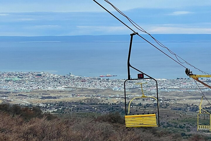 Magallanes Forest and Club Andino Tour from Punta Arenas - Photo 1 of 22