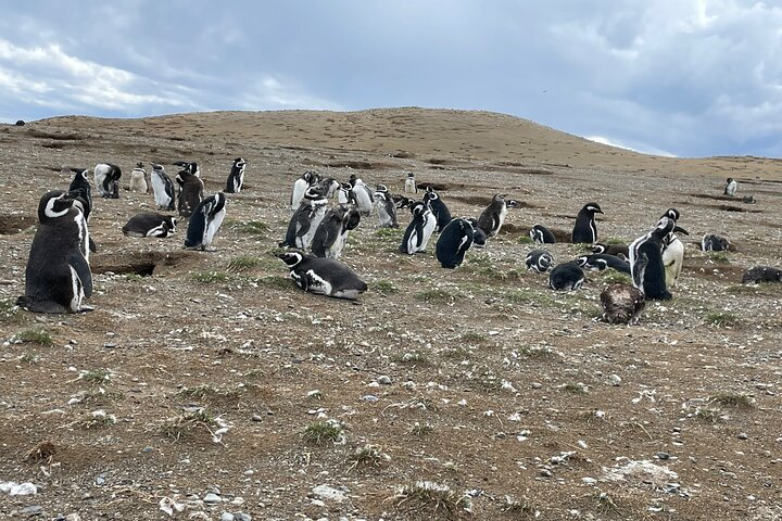Magdalena Island Navigation - Photo 1 of 25