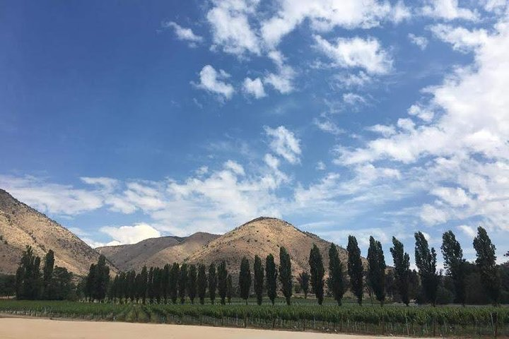 Maipo Valley - Photo 1 of 20