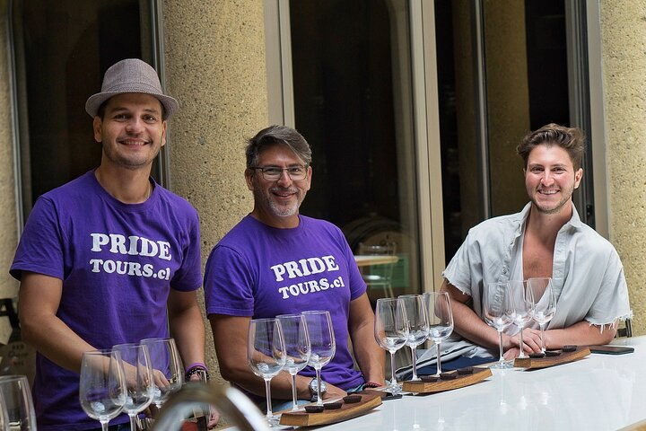 Maipo Valley: Historic Wineries & Classic Reds Tour - Photo 1 of 9