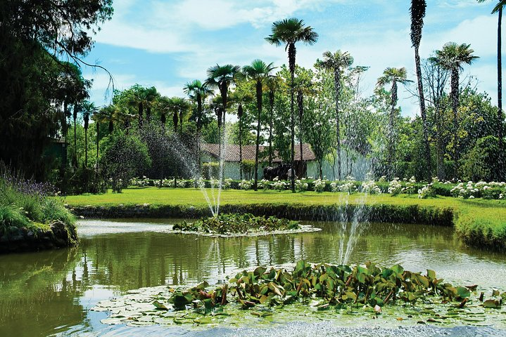 Private San Antonio Port Pre-Post Cruise Santiago City Tour and Undurraga Winery