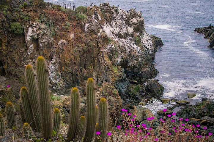 Private Garden Tour in Central Coast of Chile with Lunch included - Photo 1 of 25