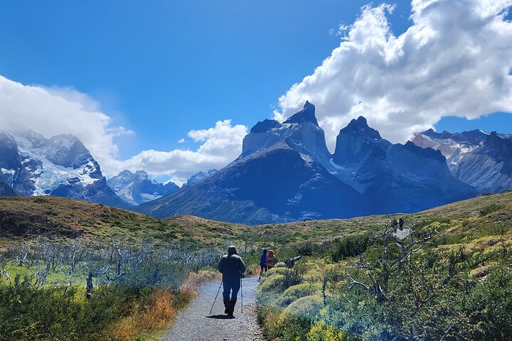 Short hikes for everyone in order to live the experience of Patagonia