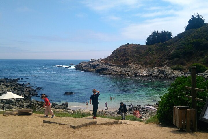 Full-Day Coastal Escape: Beaches, Penguins & Seaside Towns - Photo 1 of 4