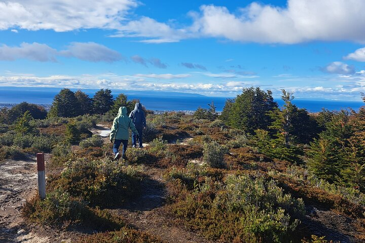 Beautiful views of the Strait of Magellan from a vantage point on our Patagonian forest hike in Punta Arenas.