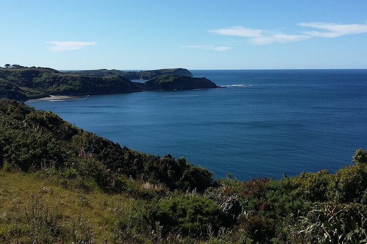 Private Tour of 4 days Puerto Varas, Chiloé, Los Lagos Chile - Photo 1 of 8