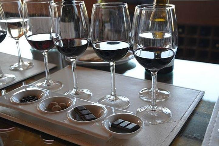 Undurraga Wine tasting