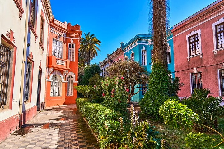 Private Walking Tour to Barrio Yungay Santiago - Photo 1 of 9
