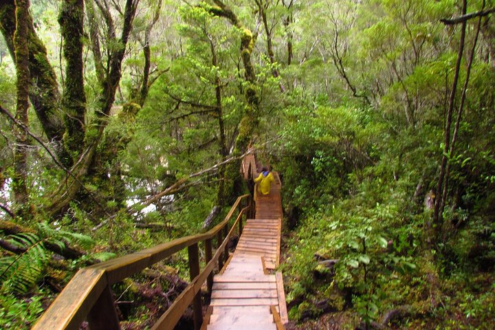 Puerto Varas: Full day Alerce Andino National Park. - Photo 1 of 8