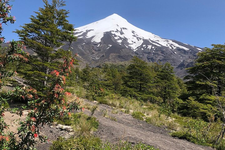 Puerto Varas, Petrohué Falls, Osorno Volcano, Cochamó, PRIVATE - Photo 1 of 5