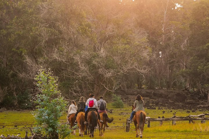 Terevaka morning ride and replanting in the top of the Island - Photo 1 of 10