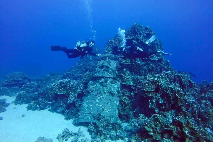 Scuba Diving Experience on Easter Island with Hotel Pickup - Photo 1 of 7