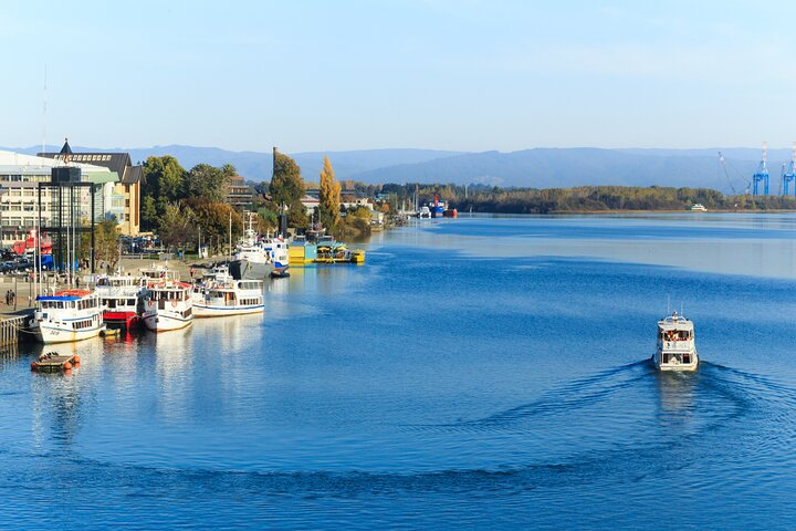 Sightseeing Tour in Valdivia  - Photo 1 of 8
