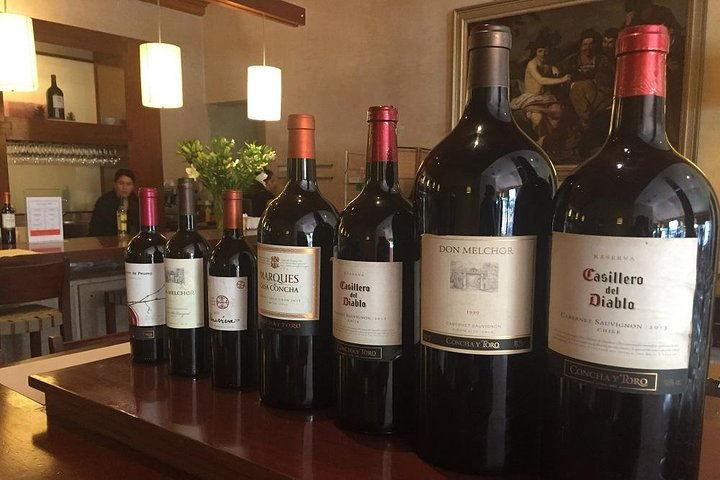 Wine Tour Concha/Cousiño & Santa Rita Winery & Lunch PRIVATE TOUR - Photo 1 of 12