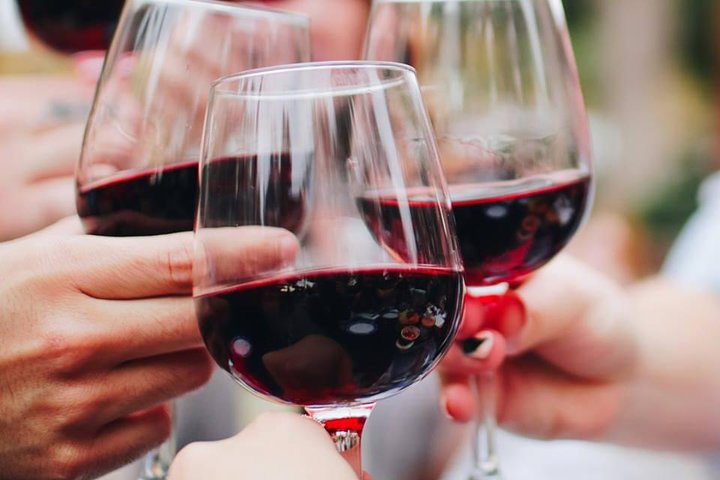 Tour 1 Vineyard 1/2 Private Day - Photo 1 of 2