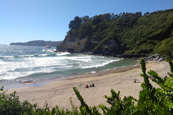 Rocoto Beach