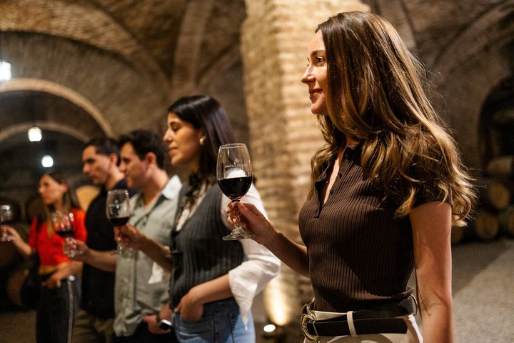 Discover Santiago: Tourist Bus, Cerro San Cristobal and Wine - Photo 1 of 12