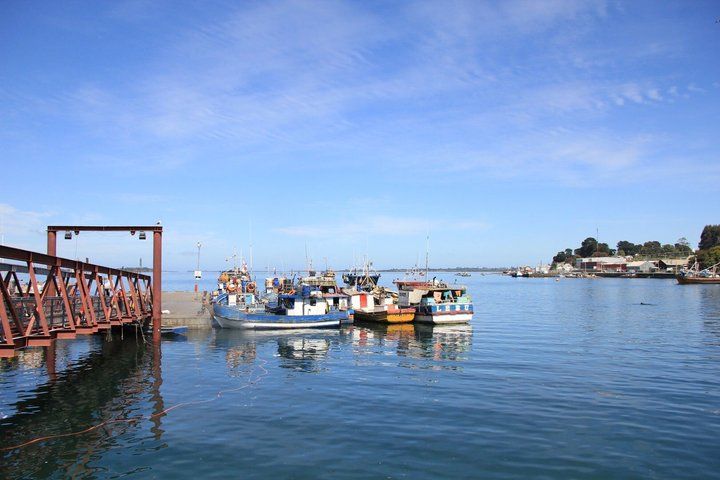 Calbuco & Aguas Azules Experience - Photo 1 of 16