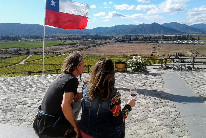 Private Valparaíso Viña & Casablanca Valley Tour from Cruise Port - Photo 1 of 15