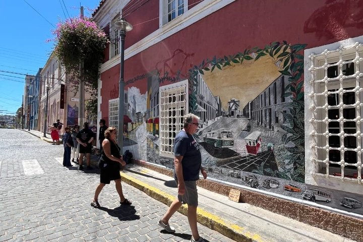 Valparaiso Private Tour with Wine Tasting from Santiago - Photo 1 of 13