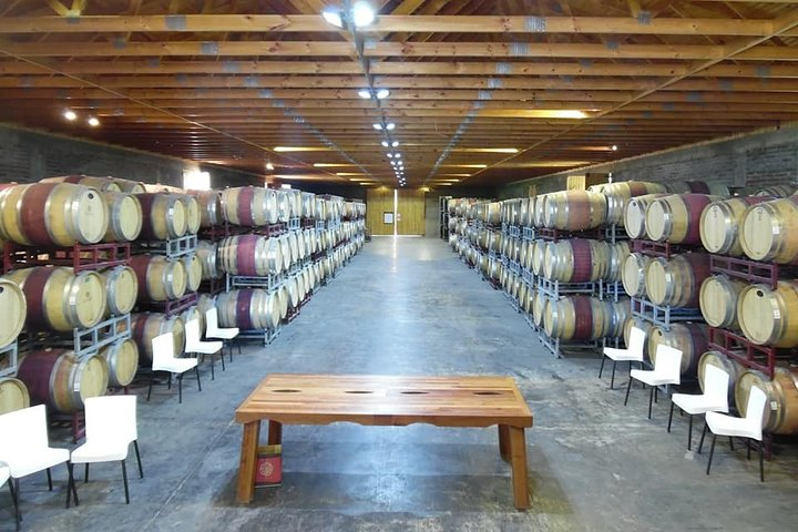 Wine Tour