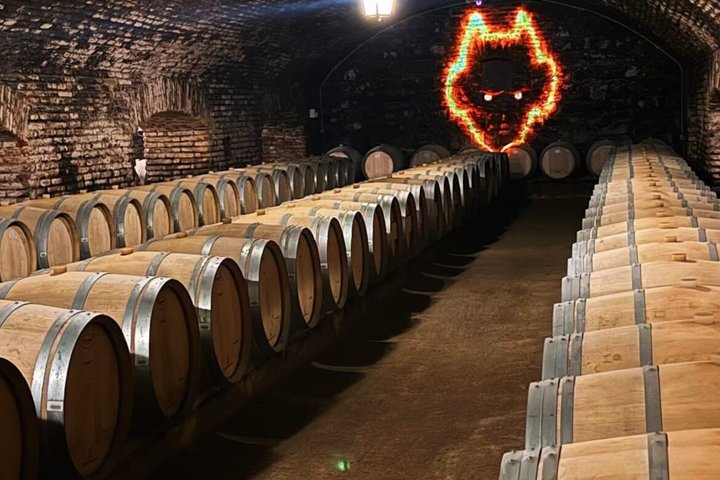 Premium Tour at Concha y Toro Winehouse with Tasting - Photo 1 of 11