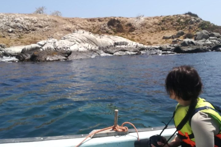 Cachagua Island Navigation