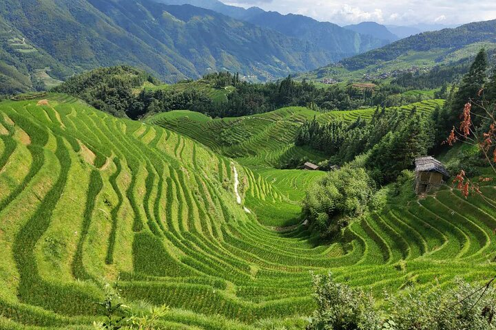 11D10N Yangtze River Panorama Cruises: Chongqing to Shanghai - Photo 1 of 7