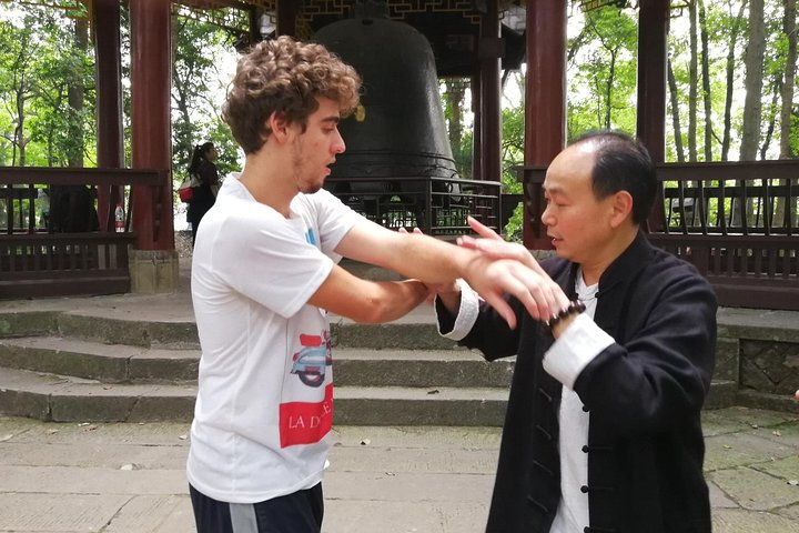 2-Day Zen Experience of Leshan & Mt Emei: Giant Buddha and Kungfu - Photo 1 of 16
