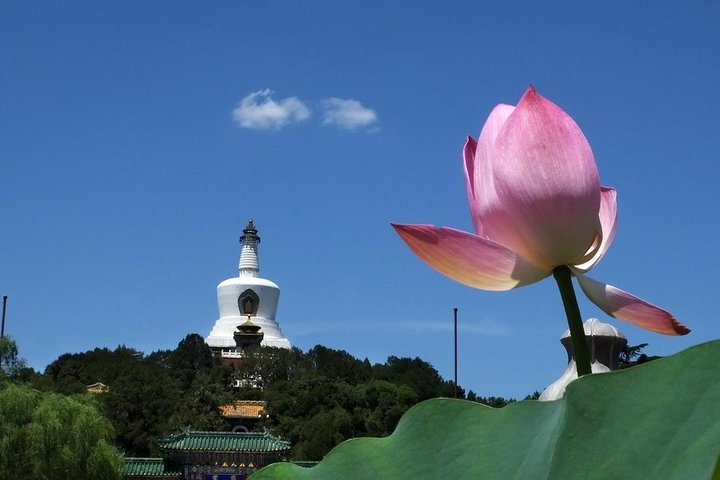 2-Hour Beijing Private Jingshan Coal Hill Park and Beihai Park Walking Tour - Photo 1 of 8