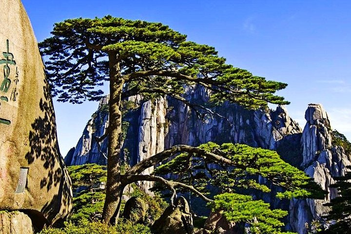 3-Day Huangshan Private Tour: Yellow Mountain, Chengkan Village and Tunxi Street - Photo 1 of 9