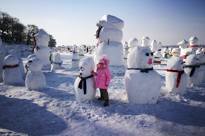 4-Day Private Harbin Tour Combo Package of Winter Highlights with Meal Options - Photo 1 of 11
