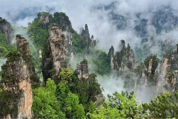 11-Day Jiuzhaigou, chongqing and Zhangjiajie Nature Tour - Photo 1 of 9