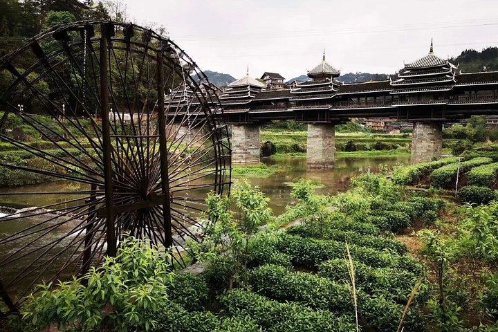 6-Day private tour to Xiamen,Guilin,Longji Rice Terraces,Sanjiang and Yangshuo - Photo 1 of 9