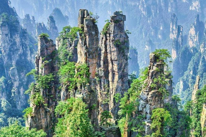 Zhangjiajie international forest park