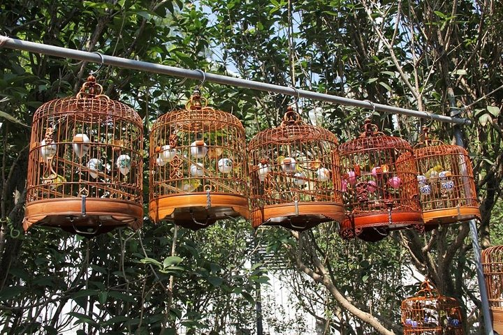 Local bird and flower market