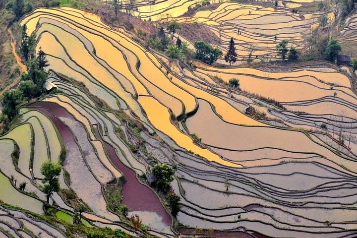 Yuanyang Terraces