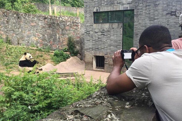 Chengdu Panda Base Day Tour