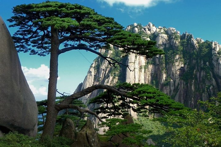 All Inclusive Huangshan Mountain and Hongcun Village Private Efficient Day Tour  - Photo 1 of 9