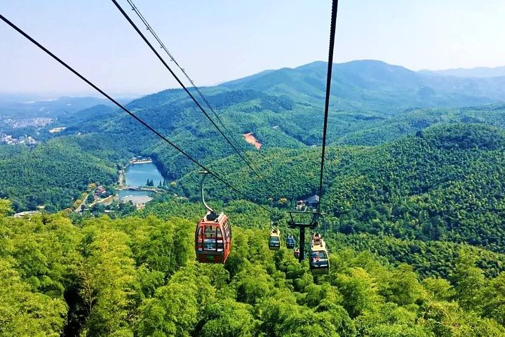 All Inclusive Yixing Bamboo Forest Private Day Tour from Shanghai  - Photo 1 of 9