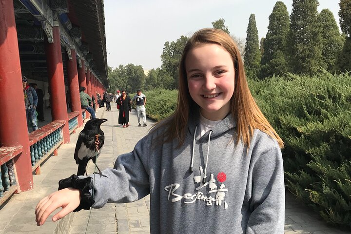 Beijing Highlights Two-Day Private Guided Tour - Photo 1 of 8