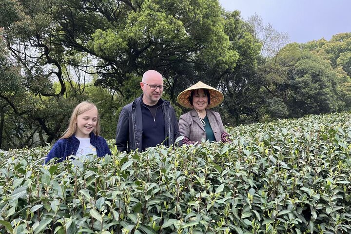 Enjoy the tea plantation