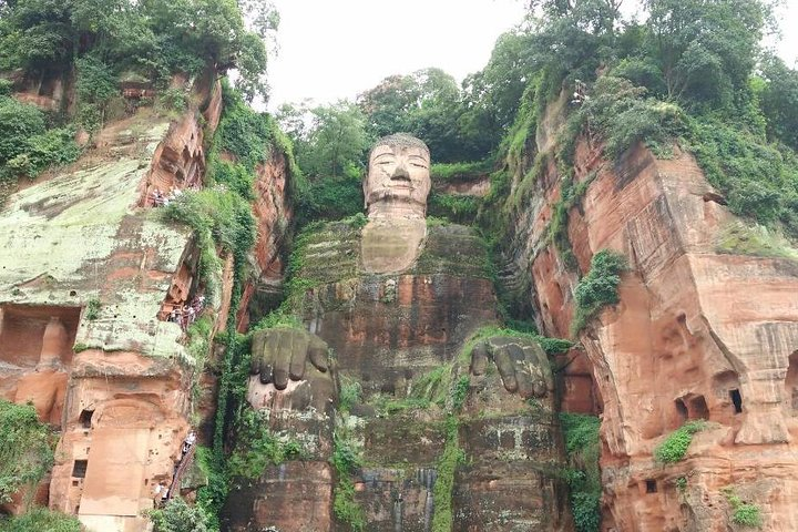 Chengdu Customized Experience: Giant Pandas and Buddha Statue In One Day - Photo 1 of 9