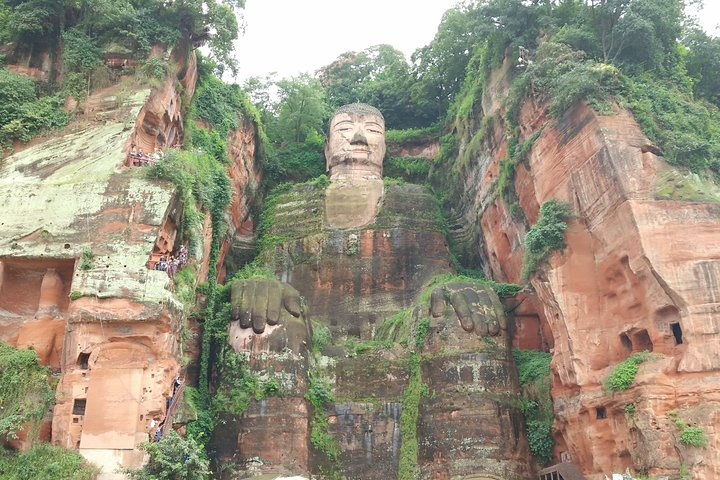 Chengdu Highlights Tour of Panda Base and Leshan Giant Buddha - Photo 1 of 10