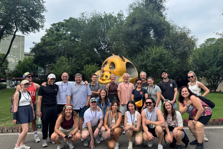 Chengdu: Panda Base & Dujiangyan Project Group Day Tour - Photo 1 of 8